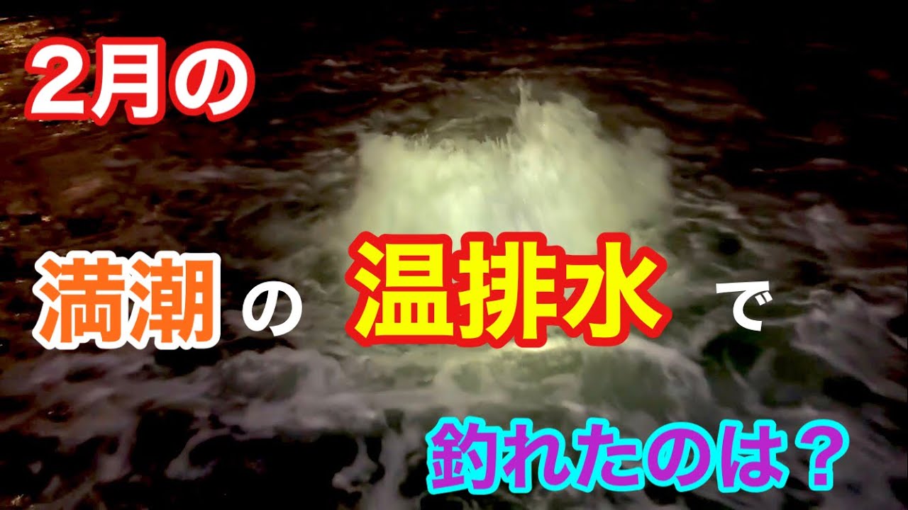 2月の満潮の温排水で釣れたのは？知多半島