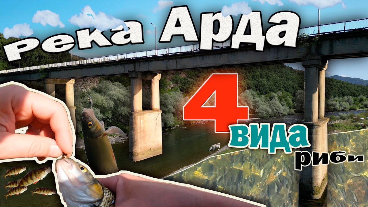 Река Арда 4 вида риби.