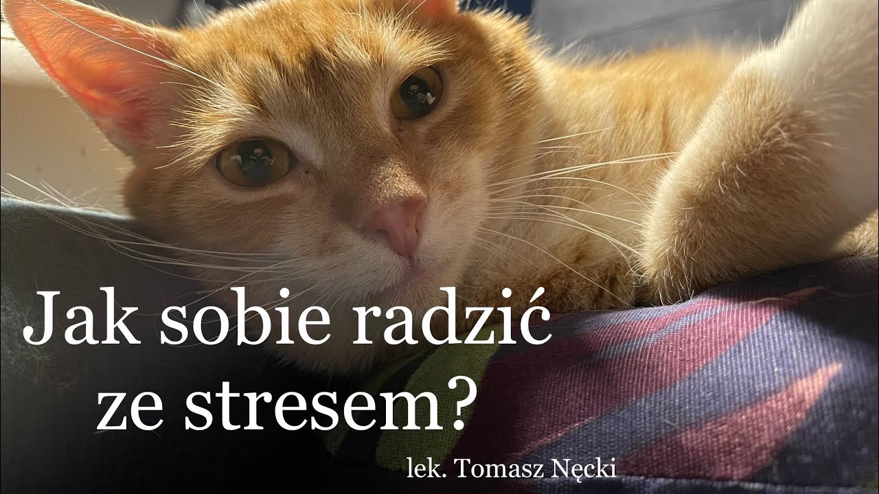 Jak sobie radzić ze stresem?