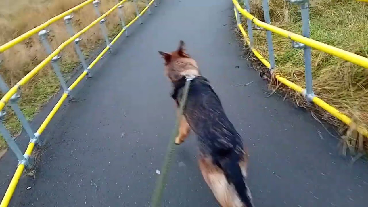 Home time