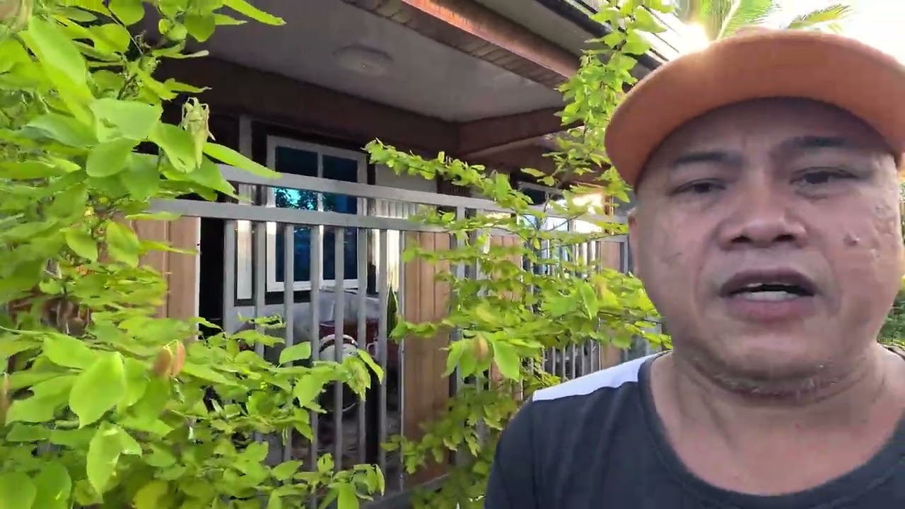 NANGHINGI  AKO NANG GULAY SA GARDEN NG AKING KAPITBAHAY