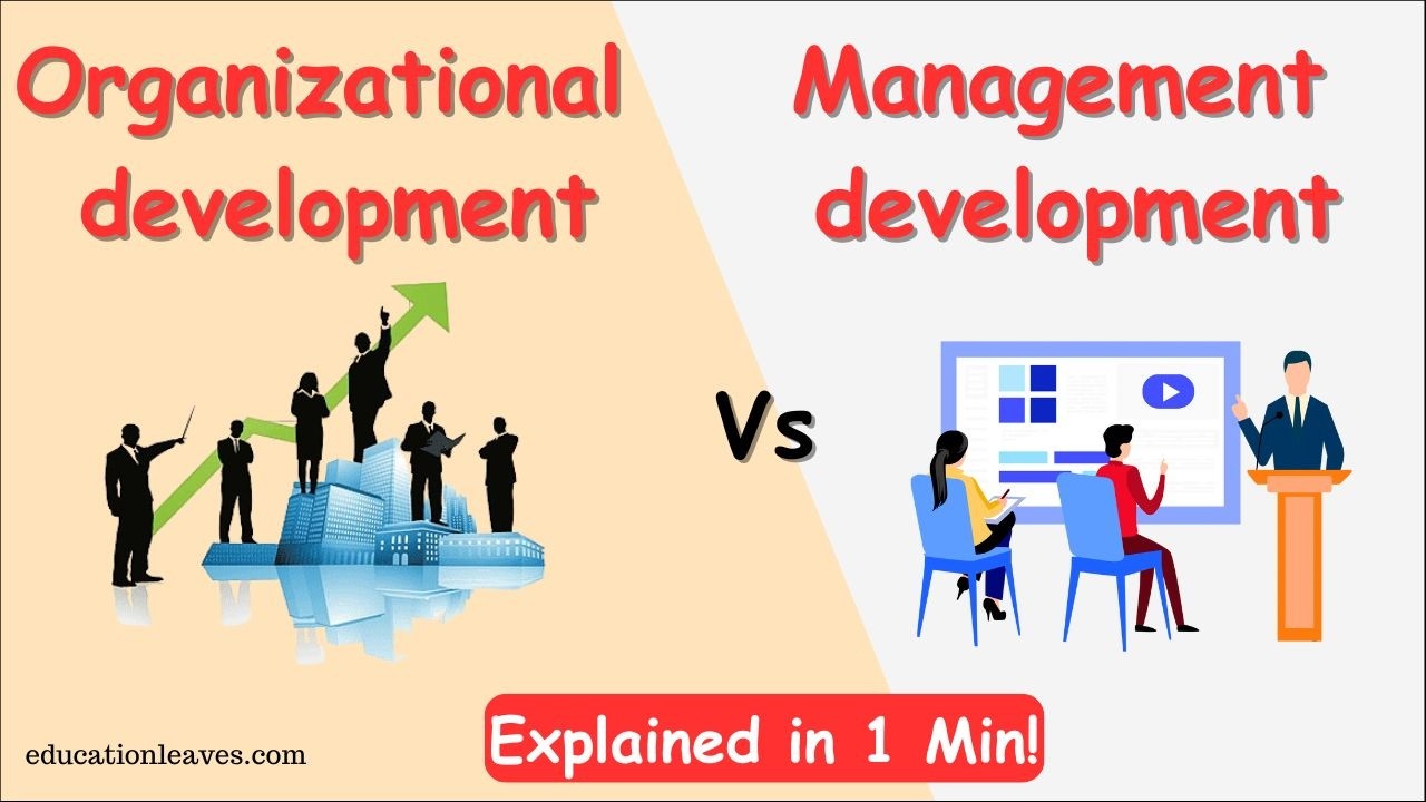 Organizational development vs Management development