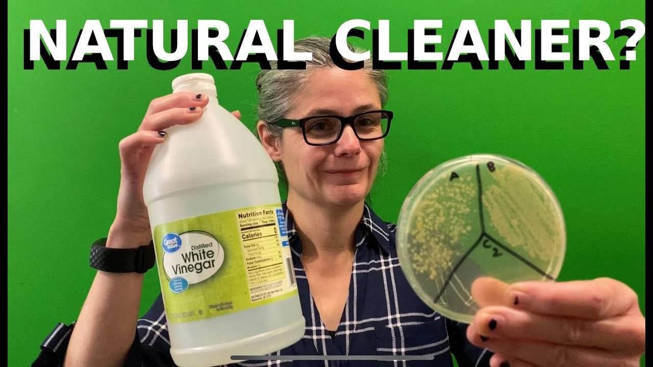 Does VINEGAR Clean & Disinfect Bacteria? CLEAN WITH ME & FIND OUT!