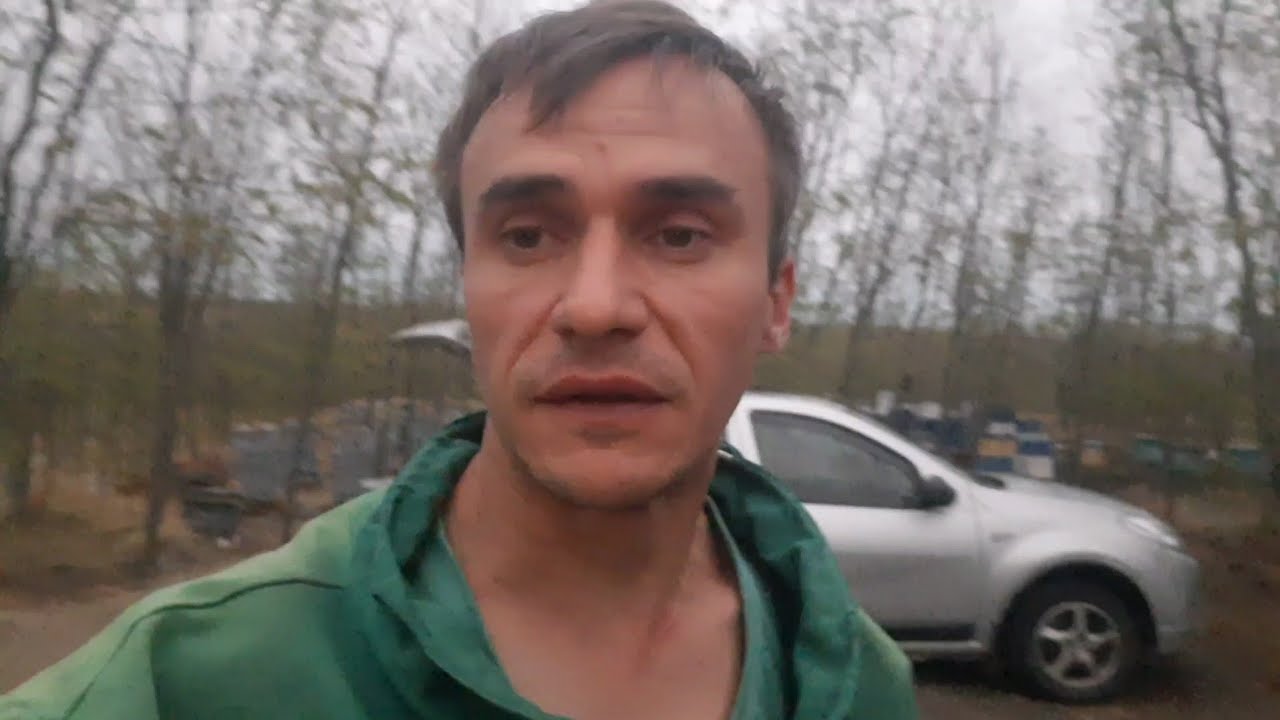 Шедевр! А чим займаєтися ви на пасіці восени?