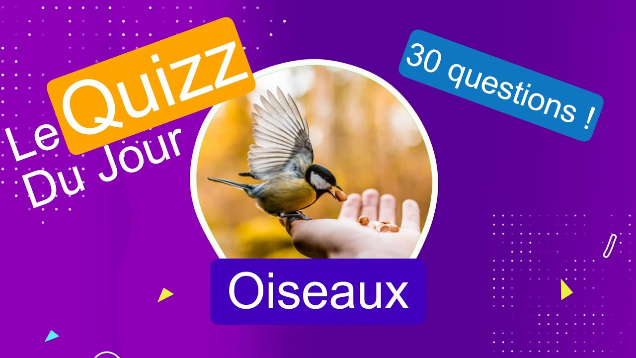 Quizz - Les Oiseaux