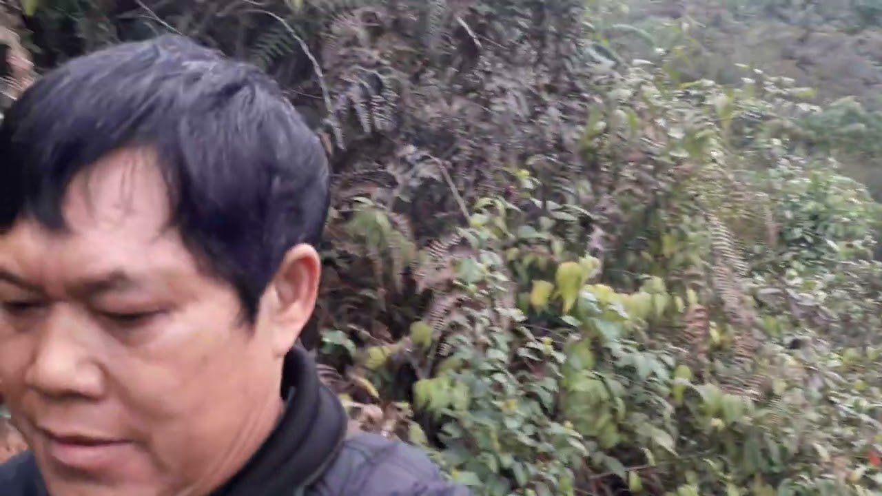 Vương hòa về quê nặm nhũng thăm đồi cỏ ký ức tuổi thơ ngày xưa nay vẫn còn