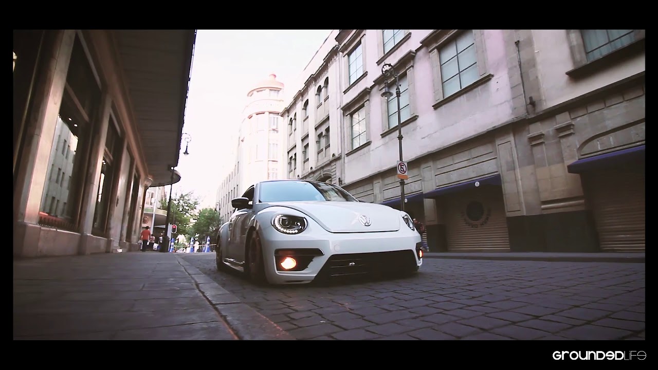 beetle stance