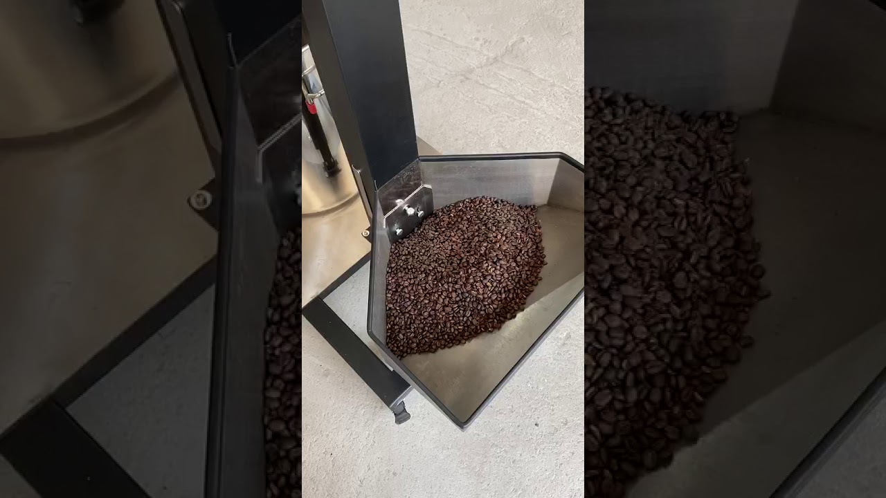 Wintop 30kg Coffee Destoner Operation Video