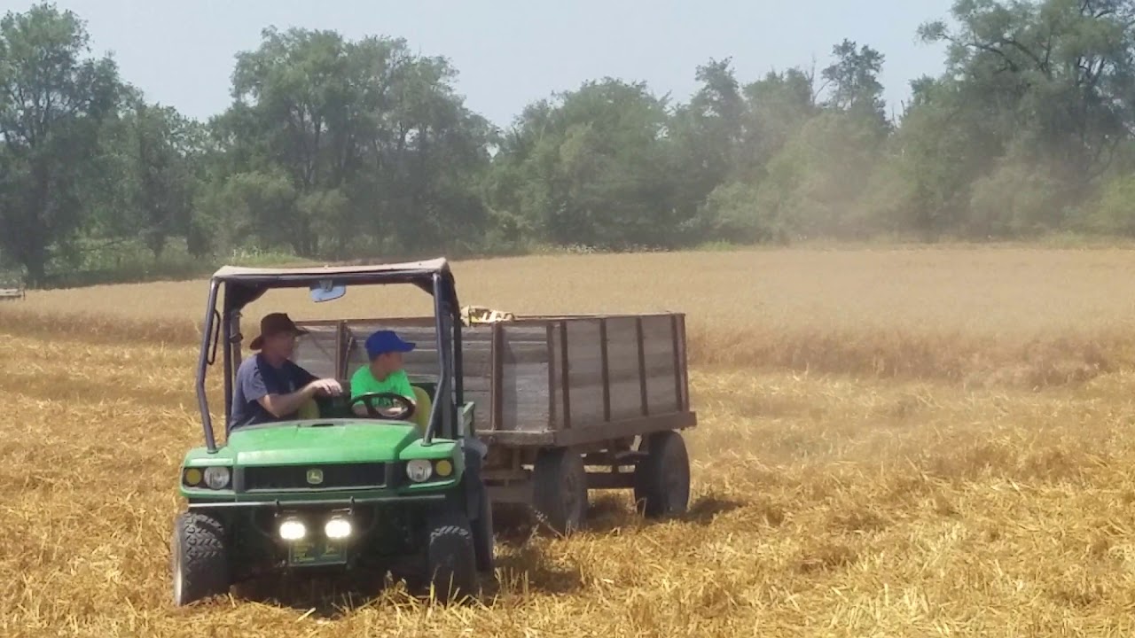 66 all crop harvesting oats 2017