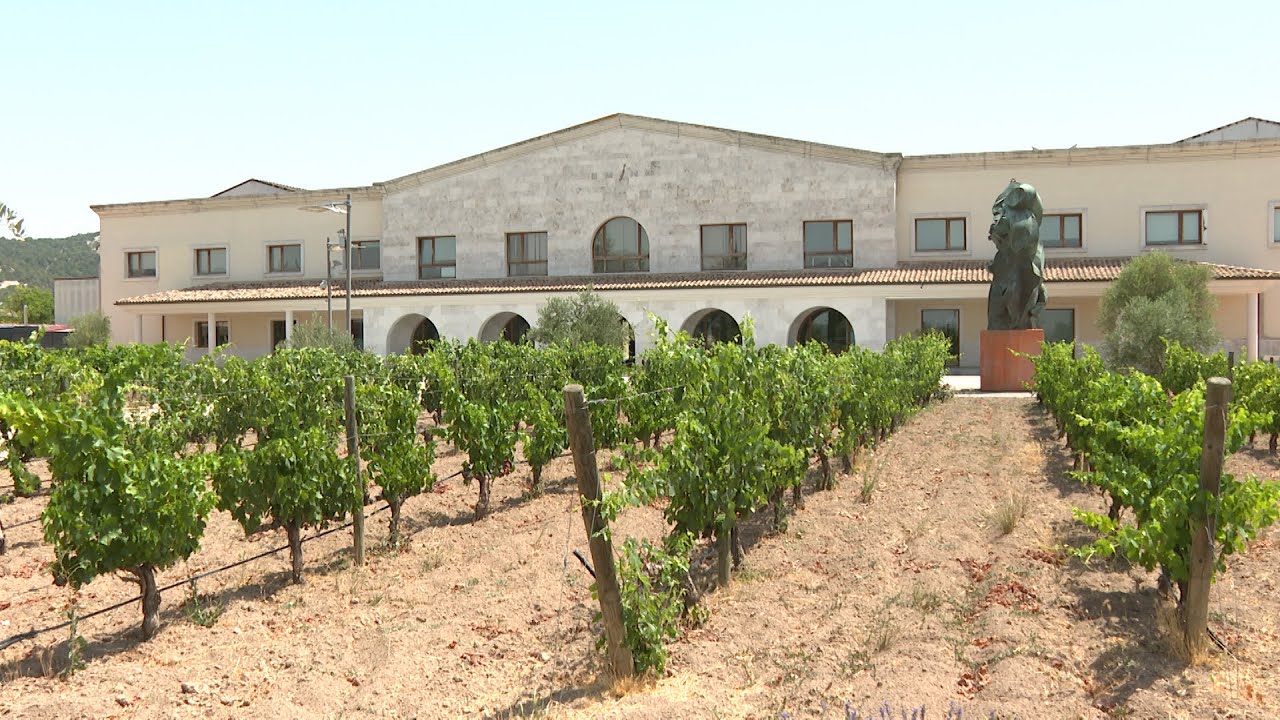 Bodegas Matarromera se alza con el Premio Pyme del Año en Valladolid