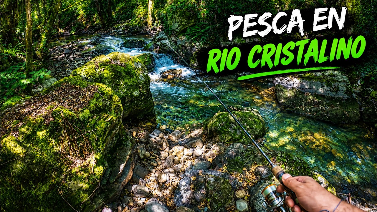 Descubre la emoción de pescar en un pequeño arroyo de montaña