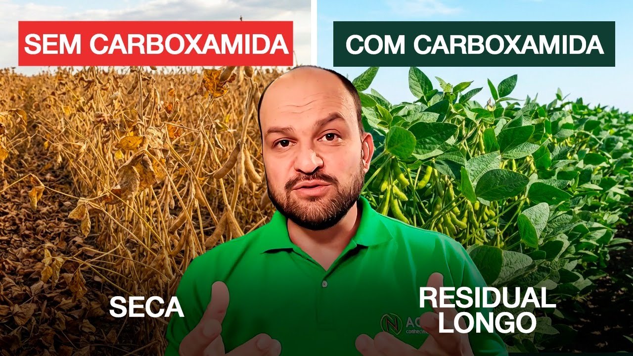 CARBOXAMIDAS: POR QUE SUA SOJA FICA VERDE POR MAIS TEMPO
