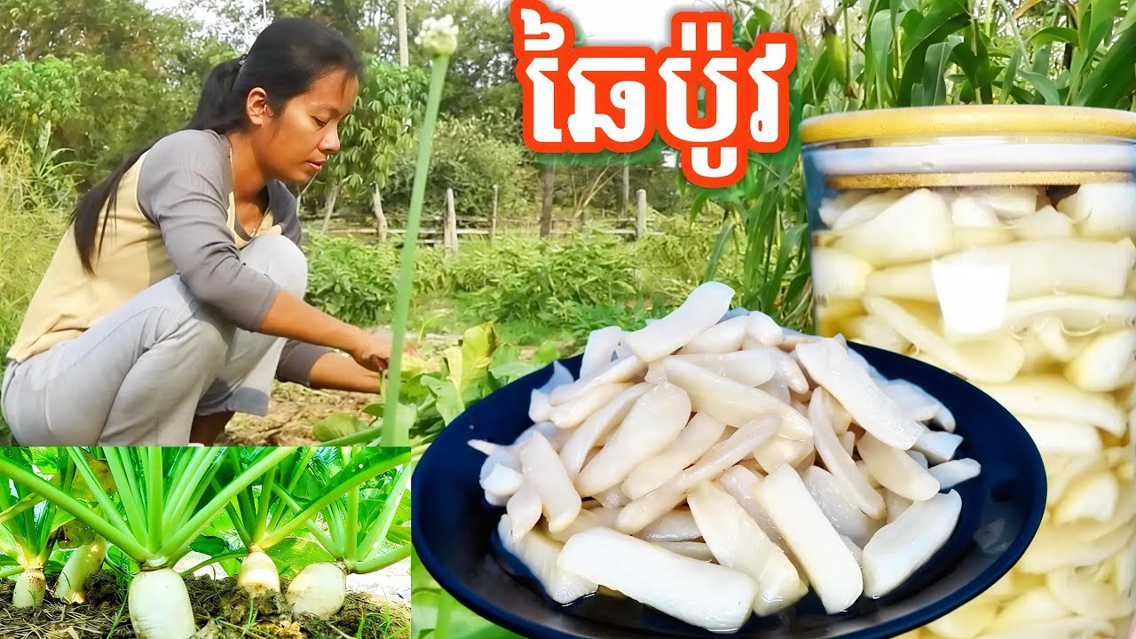 របៀបធ្វើឆៃប៉ូវ Sweet Daikon Radish 