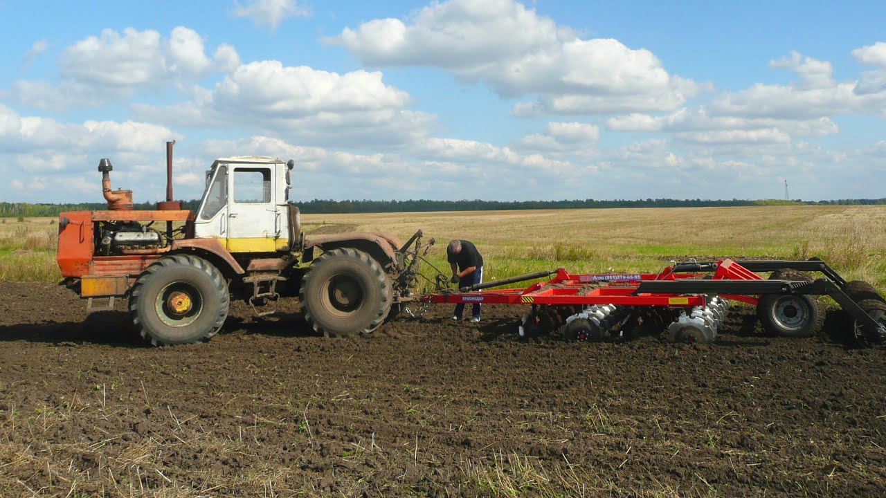 Дисковка на ХТЗ по ячменю.  Т-150К 