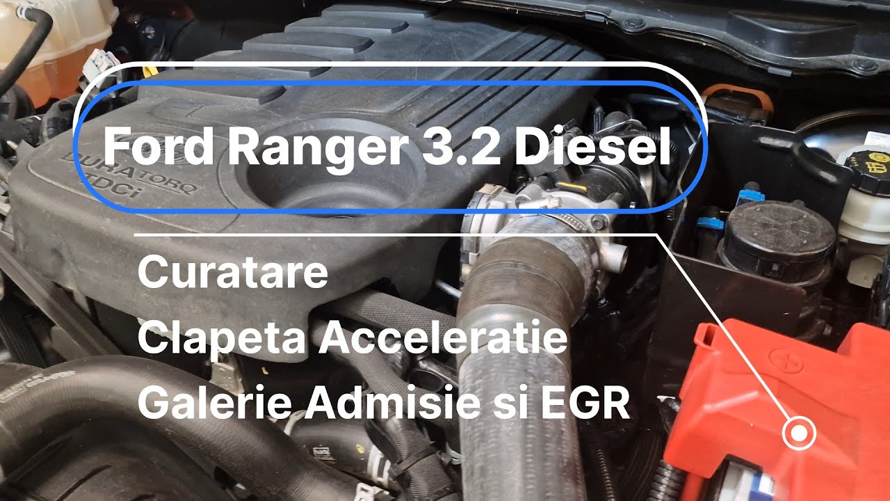 Ford Ranger | Curatare Clapeta Acceleratie, Galerie Admisie si Supapa EGR