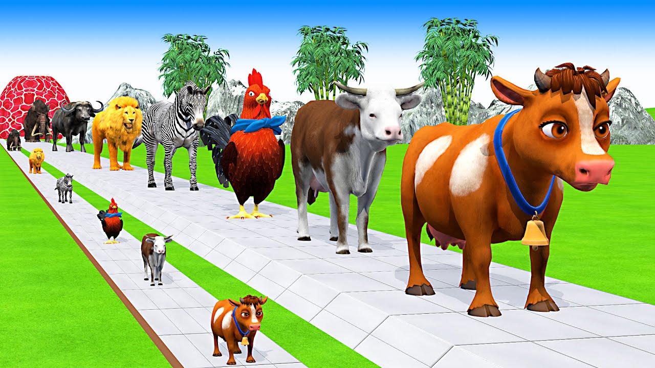 Long Slide Game With Elephant Gorilla Buffalo Hippopotamus Tiger 3d Animal Game Funny 3d Animals