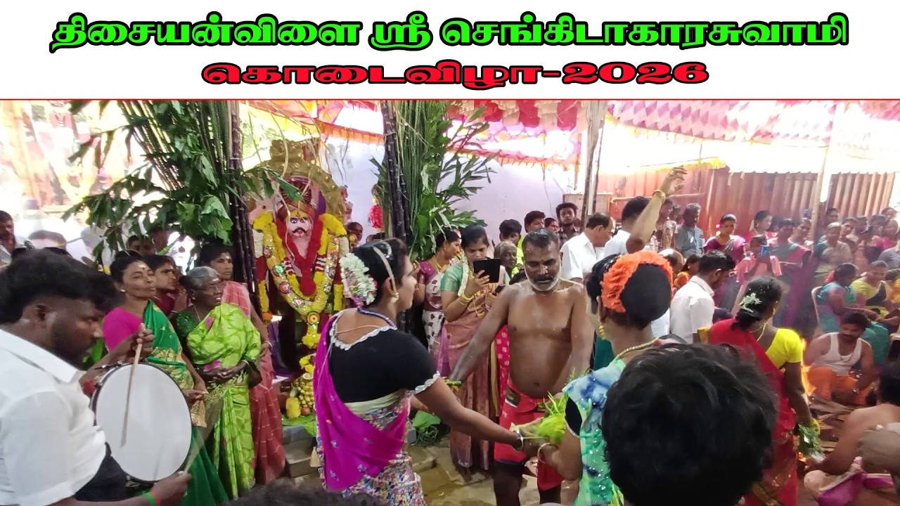 #சாமியாட்டம் #மஞ்சள்நீராடல் #செங்கிடாகாரசுவாமி #கோயில்#கொடைவிழா#ராமசாமிசந்து #திசையன்விளை#tisaitv