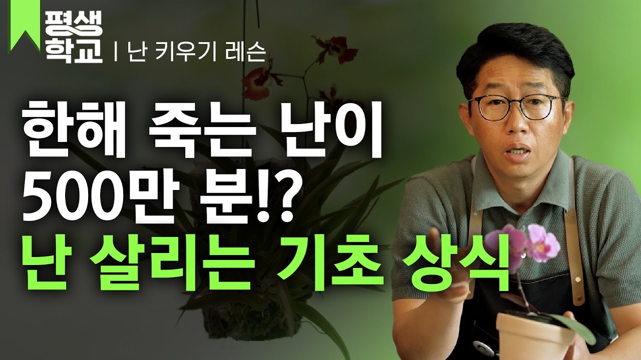 [#EBS평생학교] 1강 우리 집 난은 왜 다 죽을까?│이청의 배워서 바로 써먹는 난 키우기