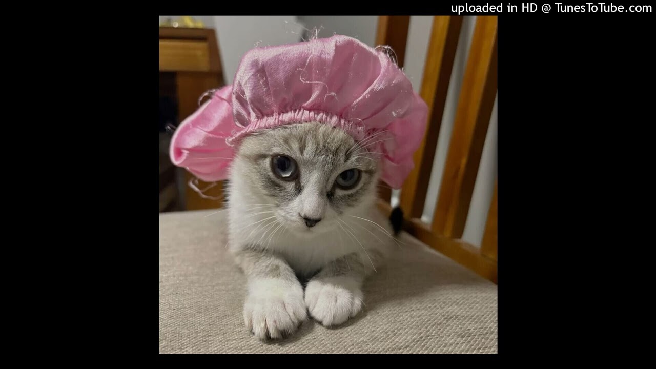 free diamond type beat 170226