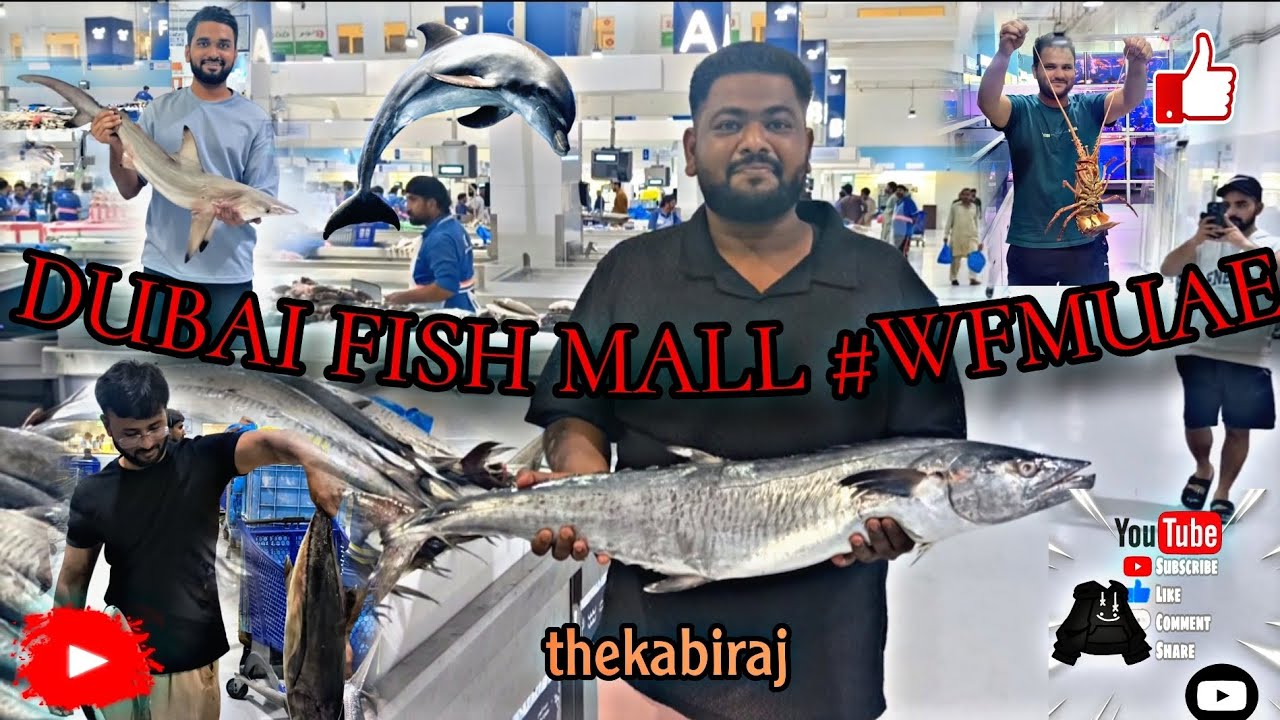 DUBAI FISH MARKET TOUR #WFMUAE WORLD BEST FISH MARKET🦈