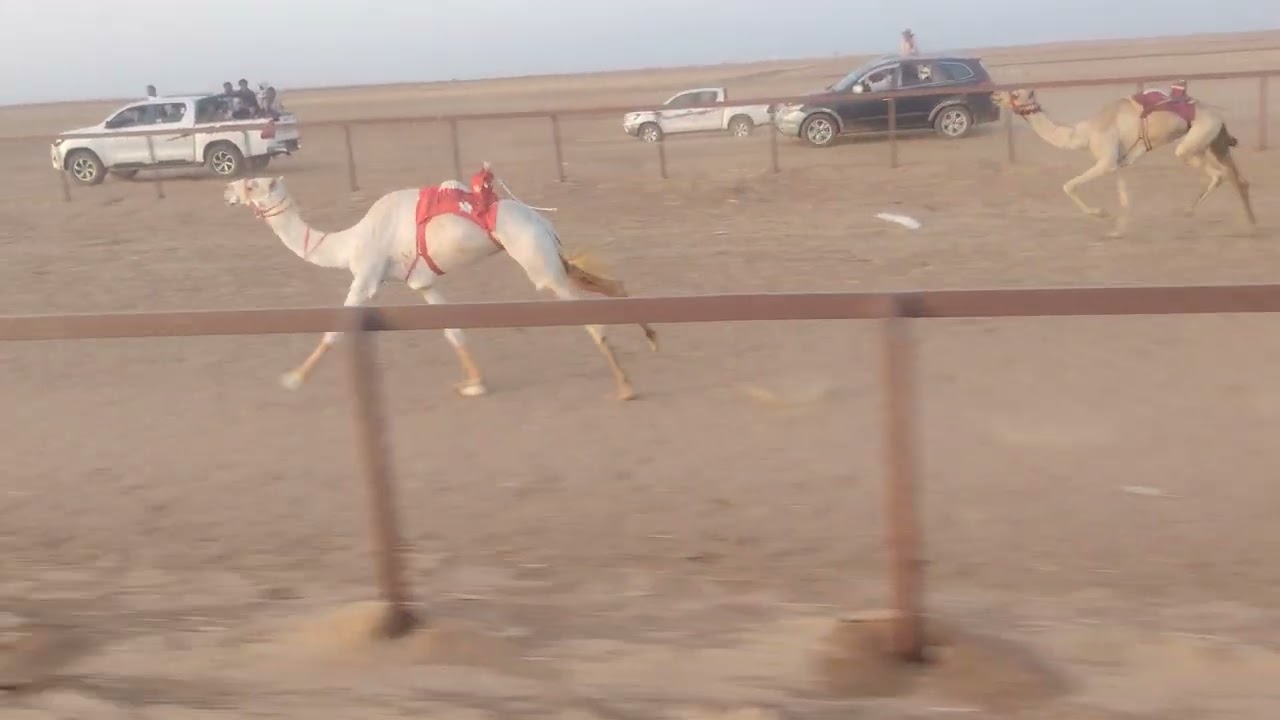 ٢٦ يونيو، ٢٠٢٥