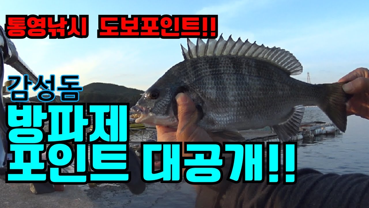 통영 도보포인트 감성돔낚시 방파제 공개~!!드루와~!!