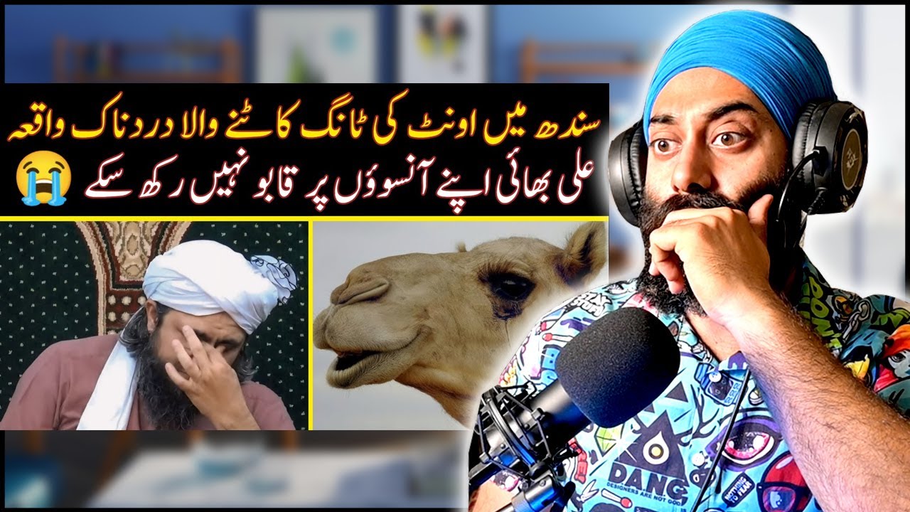 😭 Camel Leg Cut Incident In Sindh | PunjabiReel TV | Ali Mirza