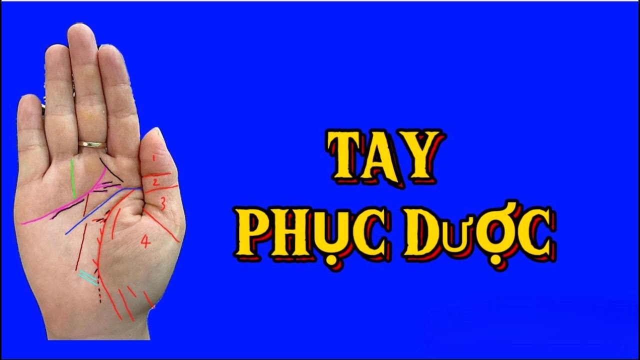 B&agrave;n tay phục dược c&oacute; số l&agrave;m thầy