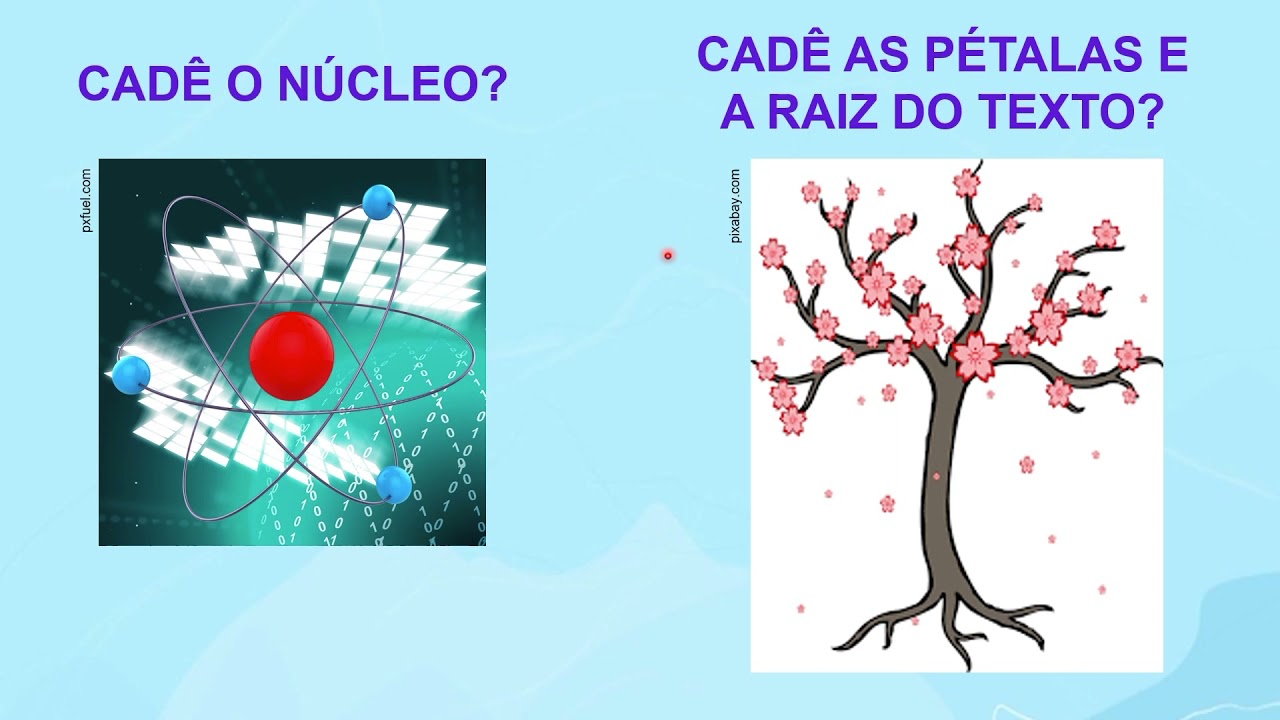 Ideia principal ou ideia secundária? | Rioeduca na TV – Língua Portuguesa - 9º Ano