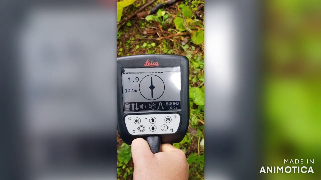Leica cable locator