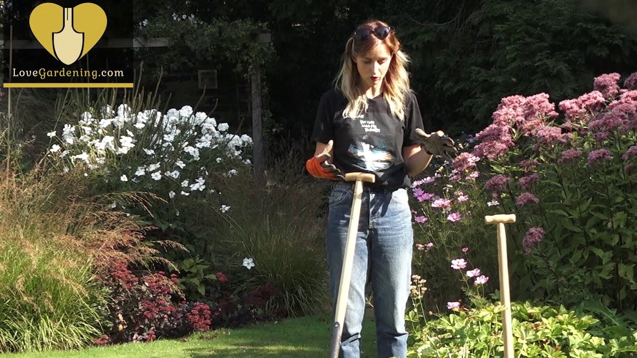 How to split Herbaceous Perennials with Katie Rushworth