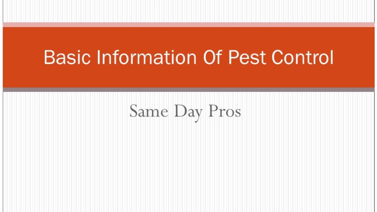 Basic Information Of Pest Control