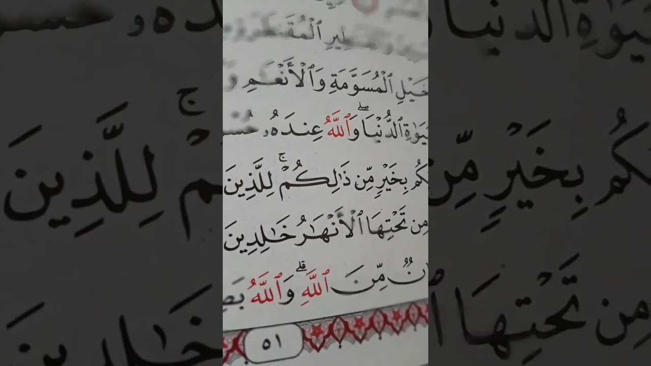 قراءتي لآيات من سورة إل عمران وفيها أعظم شهادة.