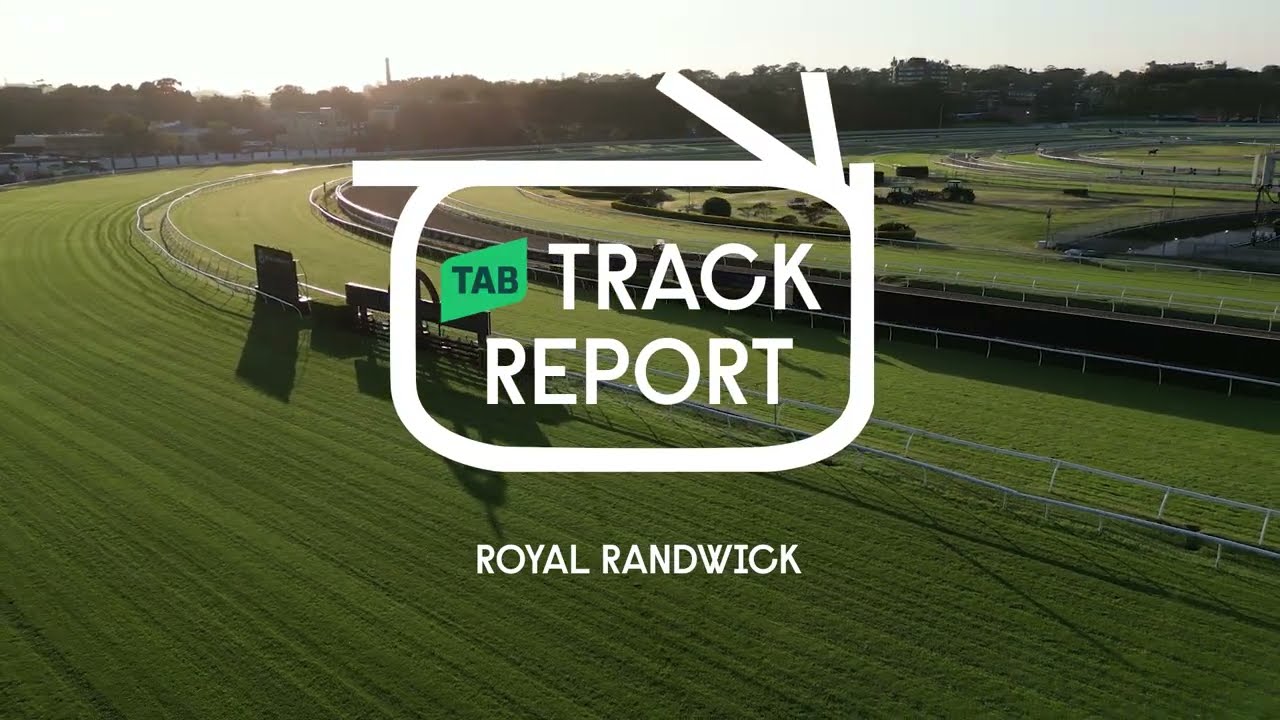 TAB Track Report | The Ingham Charity Raceday