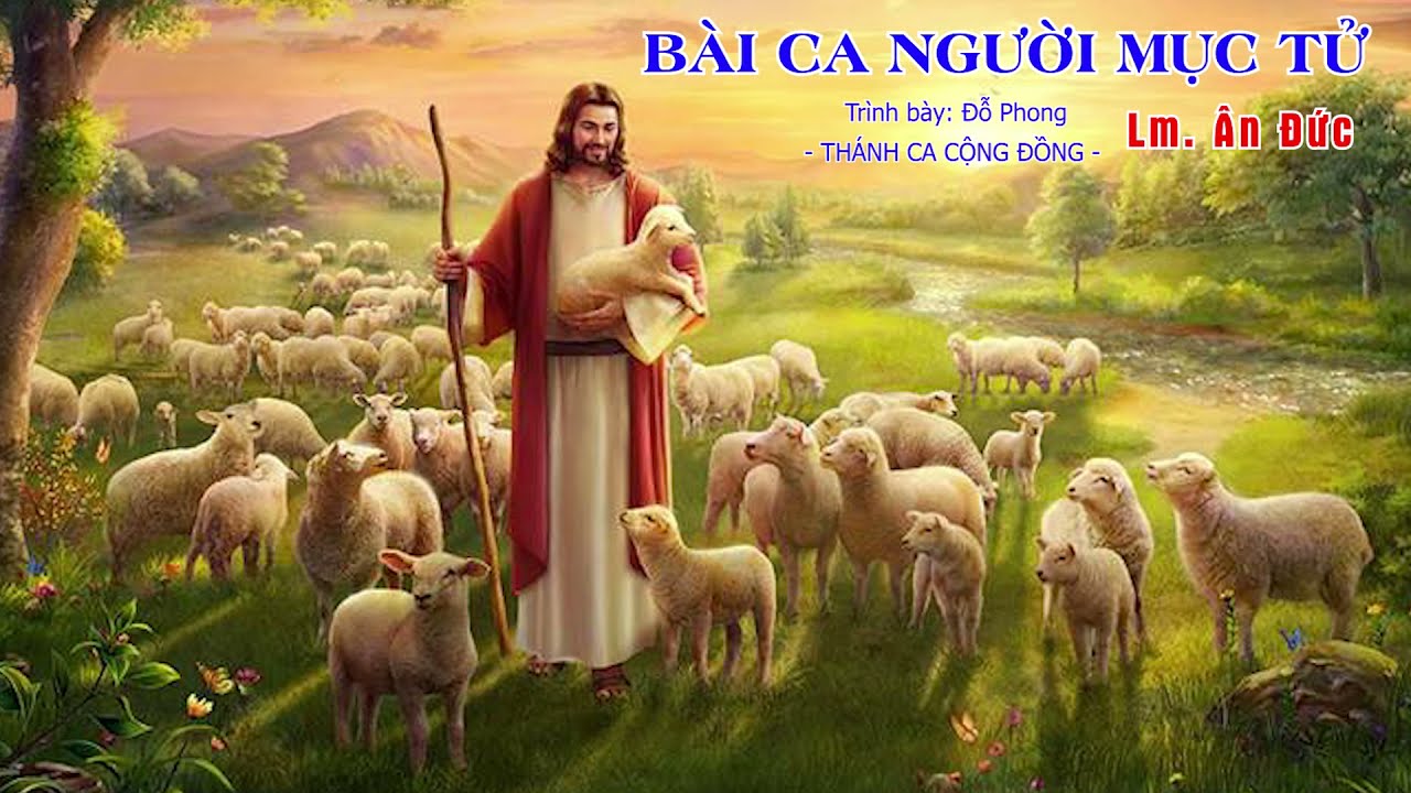 BÀI CA NGƯỜI MỤC TỬ *|* St: Lm Ân Đức *|* Trình bày: Đỗ Phong