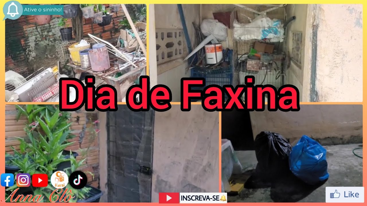 Dia de Faxina 