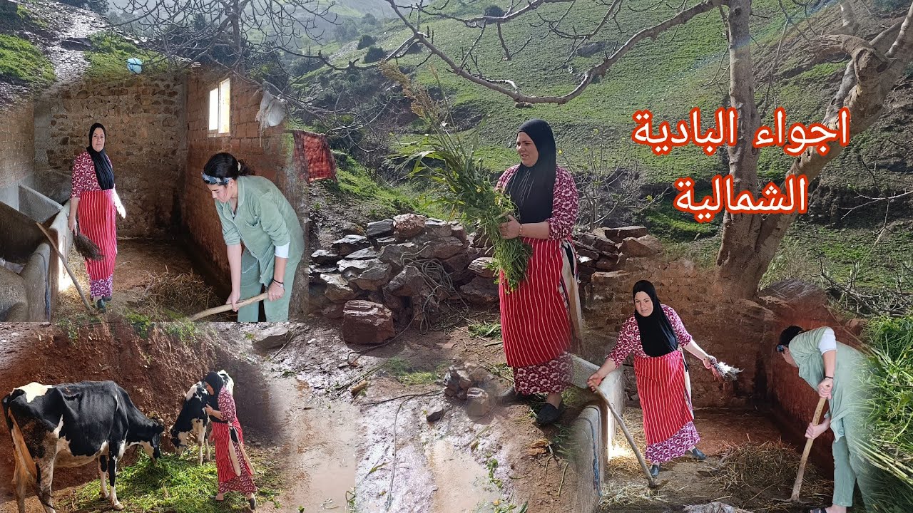 برد رياح وأمطار غزيرة في البادية تحت الماء:شاهد تأثير على القرى المغربية 