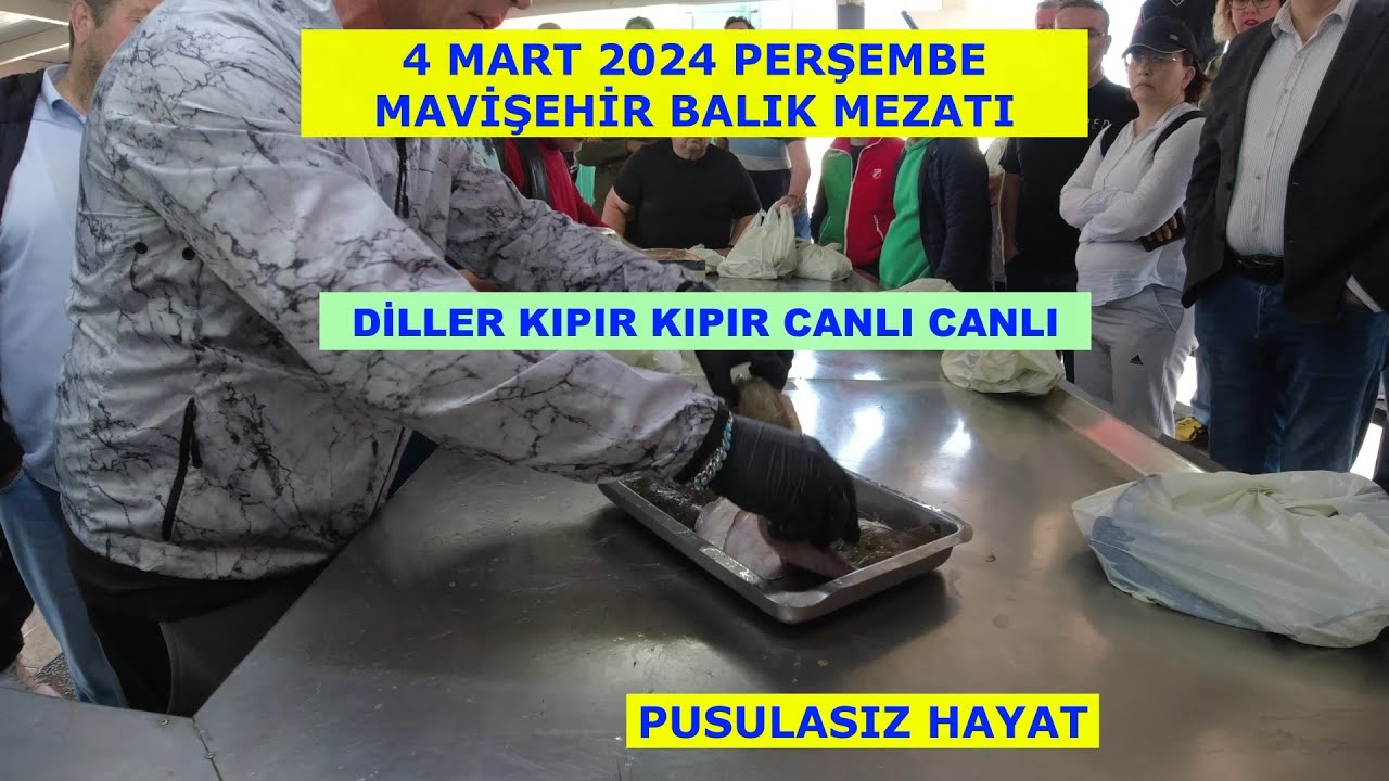 04.04.2024 MAVİŞEHİR BALIK MEZATINDA DİL BALIKLARI DA MÜŞTERİLER DE KIPIR KIPIRDI CAPCANLIYDI.