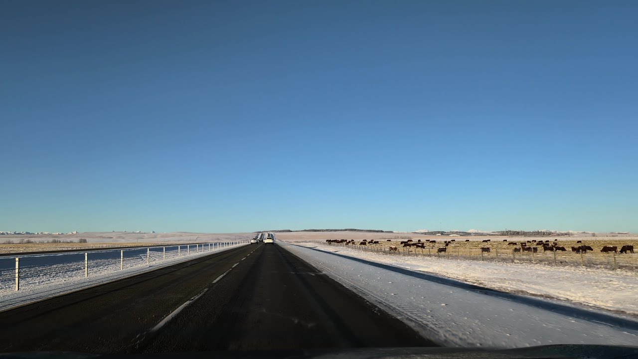 Scenic Winter Drive | Calgary to Canmore via Highway 1A 🇨🇦❄️ Rocky Mountains Morning Sunshine
