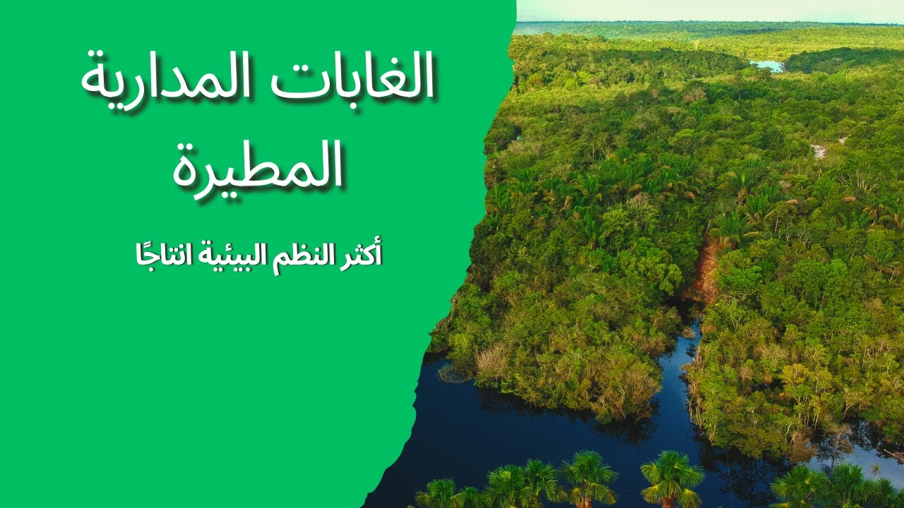 الغابات المدارية المطيرة| الموارد المتجددة | حصص الشهادة السودانية