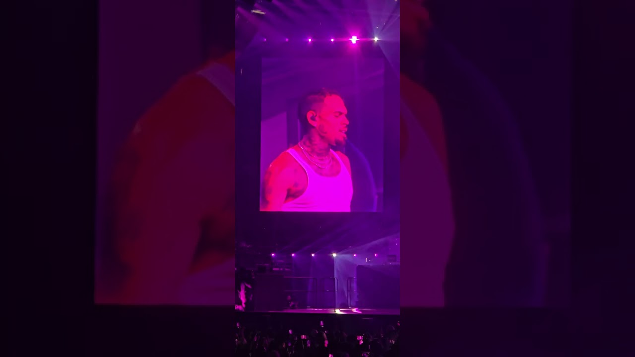 Chris Brown 11:11 Tour (Denver)    Feel Something