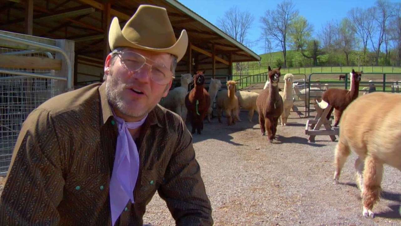 Meet The Cleverlys - Alpaca