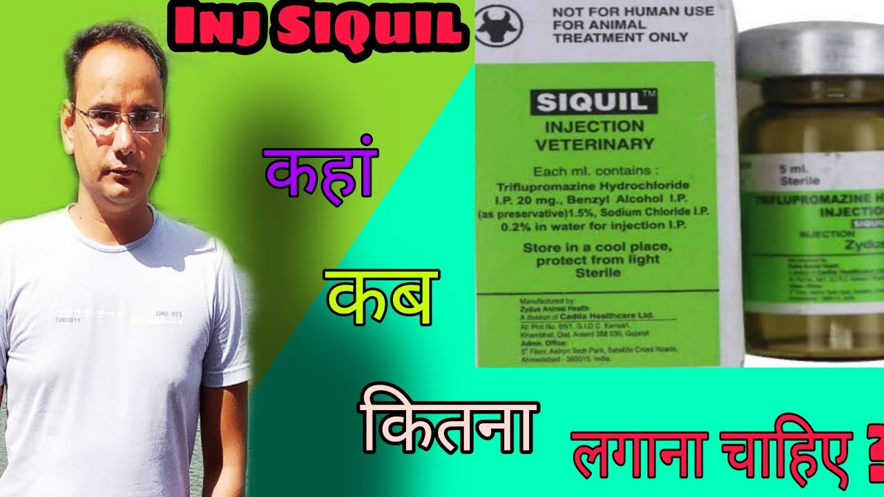 Inj Siquil ।। Inj Triflupromazine