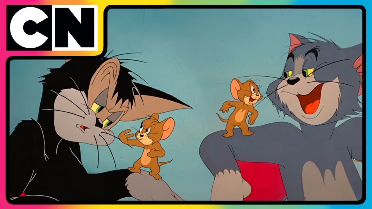 Who Is The New Cat Taking Over The House?🐈| Tom & Jerry✨| Cat & The Mouse Cartoon🐁| @cnindia