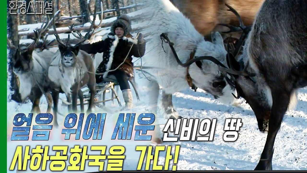 얼음 위에 세운 신비의 땅, 사하공화국을 가다 [KBS네트워크 기획-툰드라의 보석, 사하공화국을 가다] / KBS 20120131 방송