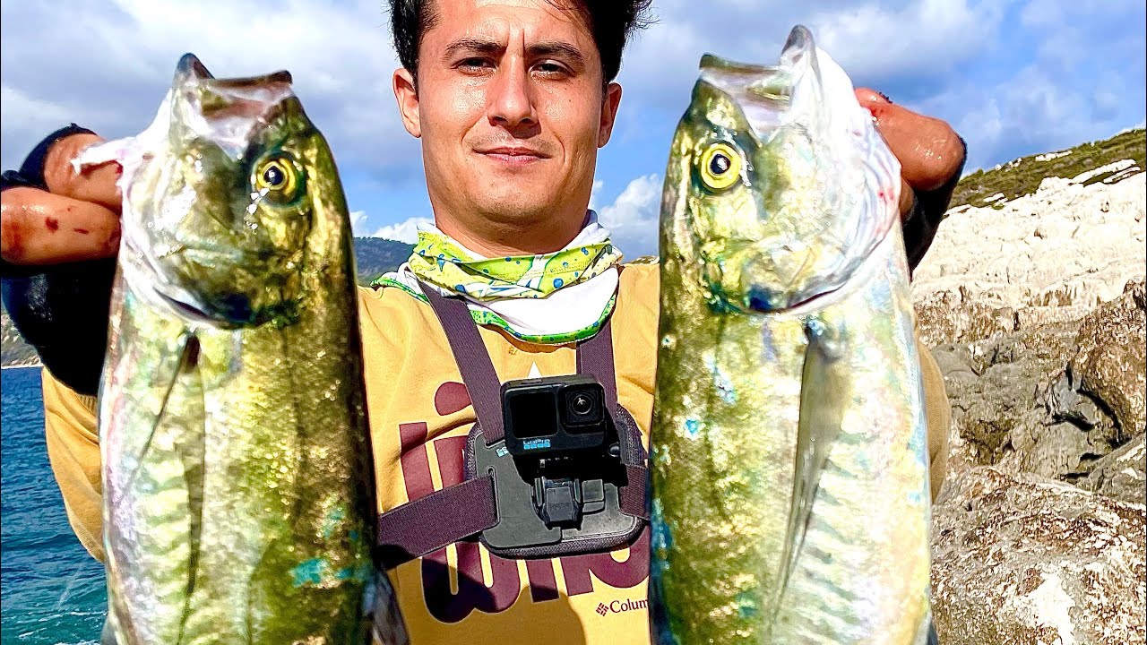 BALIK TUTUP PİŞİRDİK ADA MACERASI DEV ZARGANALAR VE TRAL BALIKLARI JİGİMİZİ PARÇALADI