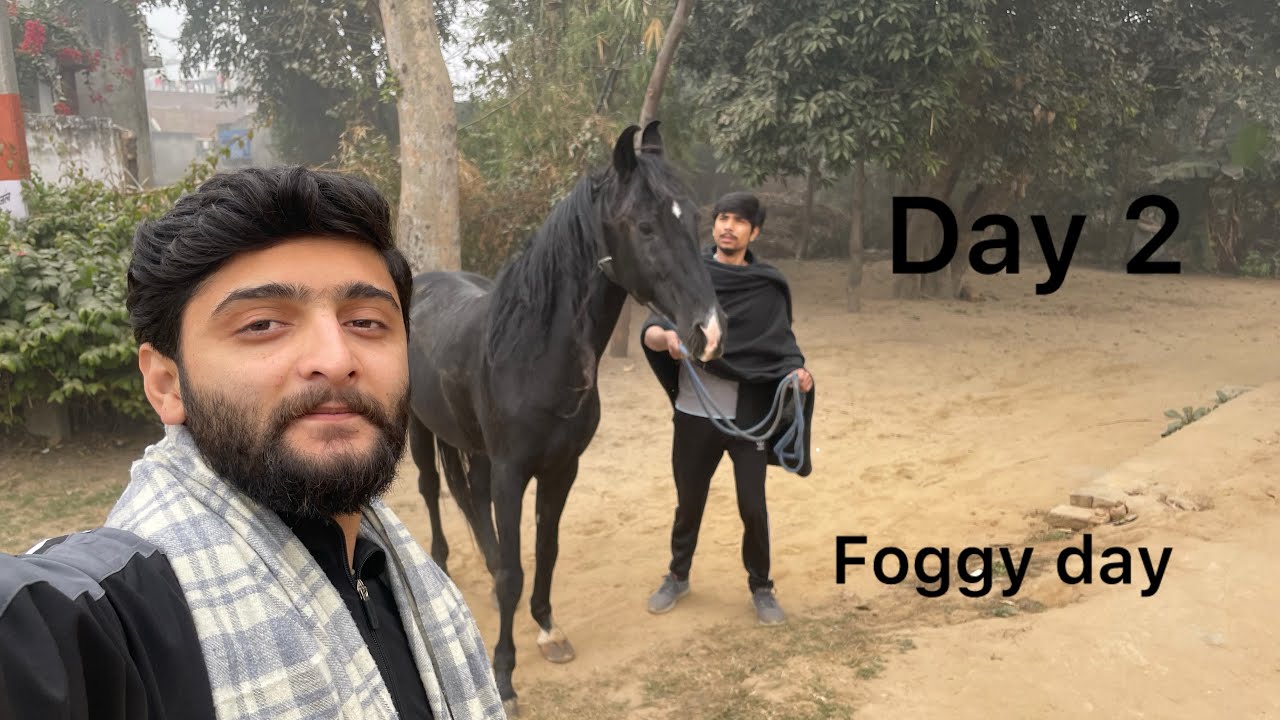 Day 2 vlog on foggy day😊 