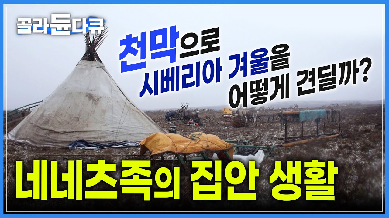 천막 하나로 매서운 시베리아 겨울을 어떻게 버틸까? | 네네츠족 집안 대공개 | 가죽으로 만든 집 | 세계테마기행 | #골라듄다큐