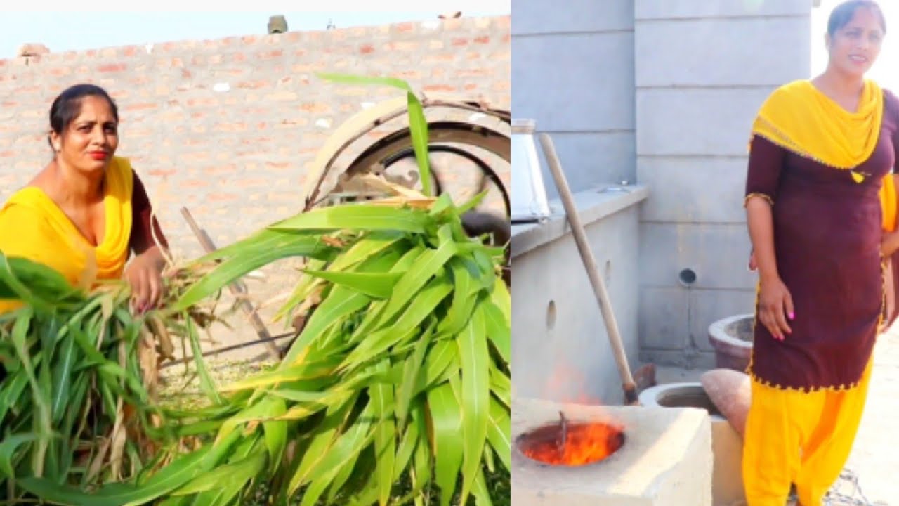 Working routine of Punjabi village woman // Indian rural life of Punjab