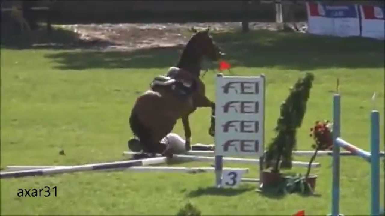 Horse Falls!